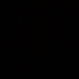 Meet your Posher, Marion